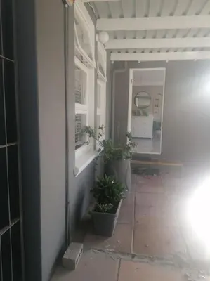 a hallway with two potted plants on a wall at Calmness in Claremont in Cape Town