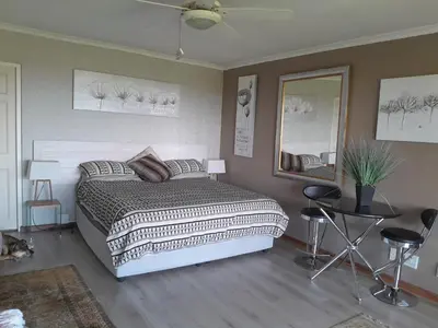 a bedroom with a large bed and a mirror at Roland’s Valley Art Accommodation in Stellenbosch