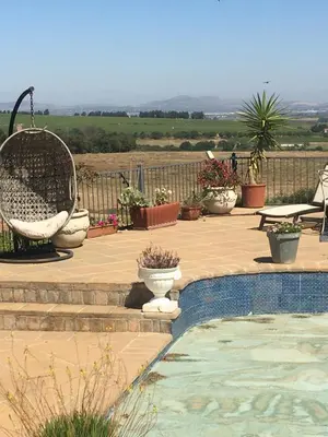 a patio with chairs and a pool with plants at Roland’s Valley Art Accommodation in Stellenbosch