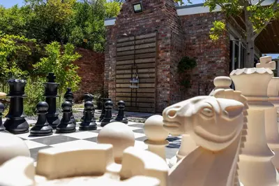 a chess board with a lion head on it at Garten Wohnung mit Pool, 2 Schlafzimmer in Cape Town