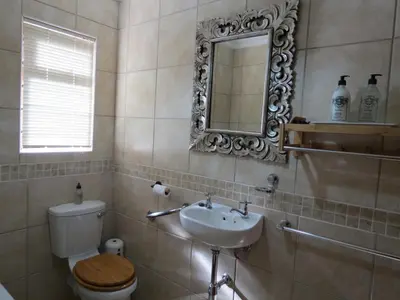 a bathroom with a toilet and a sink and a mirror at 10 on Berg in Villiersdorp