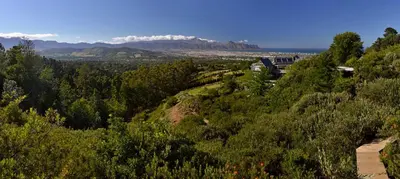 a view of a hill with trees and a mountain at Spanish Farm Boutique Hotel & Villas in Somerset West