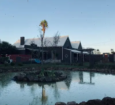 a house with a pond in front of a house at De Dapper Huys in Philadelphia