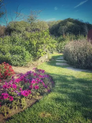 a garden with pink flowers in the grass at De Dapper Huys in Philadelphia