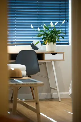 a desk with a chair and a plant on it at 505 La Roche, Paarl in Paarl