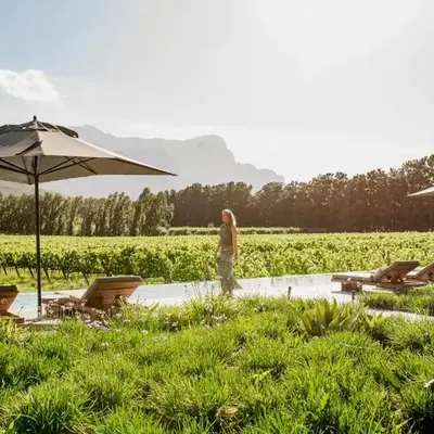 MAISON FRANSCHHOEK