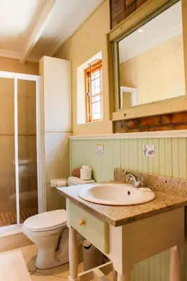 a bathroom with a sink and a toilet and a mirror at Skilpadvlei Wine Farm in Stellenbosch