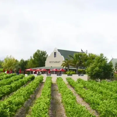 Skilpadvlei Wine Farm