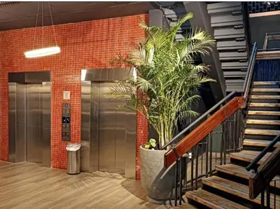 a plant in a large pot next to a staircase at NEW BOSTON in Bellville