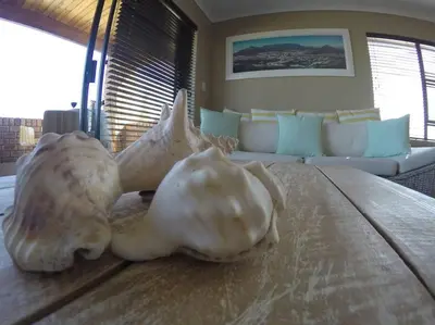 two seashells on a table in a living room at Blue Mountain View in Cape Town
