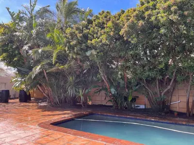 Gallery image of Lovely Garden Studio1 - 10 minute walk from beach in Cape Town