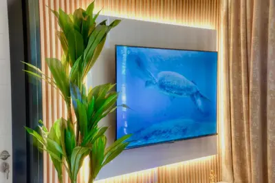 a picture of a dolphin in a room with a plant at S.A.E. Nine Palms Luxury in Cape Town