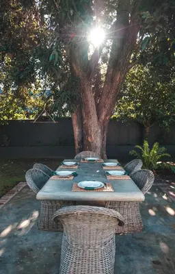 a picnic table in front of a tree at Menuha Hermanus in Hermanus
