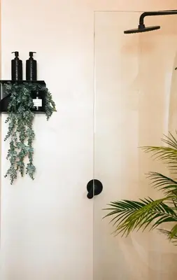 a bathroom with a shower with a plant at Designer Luxe Stellies Studio in Stellenbosch