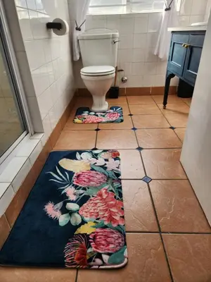 a bathroom with a toilet with a floral rug on the floor at Stirling House in Paarl