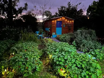 a small wooden cabin with a lot of plants at Gypsy Mama in Greyton in Greyton