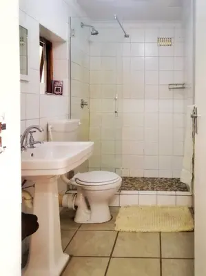 a white bathroom with a toilet and a sink at Sundance in Central Greyton in Greyton