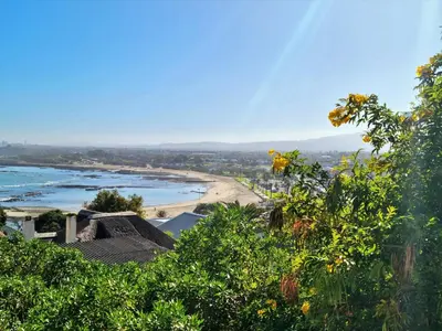 a view of a beach from a hill with trees at 'The Loft', 2 bedroom, sleeps 4, Central, Fantastic Views! in Cape Town