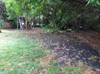 a field with trees and leaves on the grass at Rustica in Onrus close to the beach in Hermanus