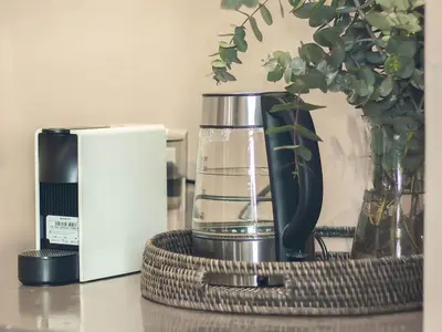 a coffee maker sitting on a table with a plant at Nooitgedacht Guest Farm Cottages in Kayamnandi