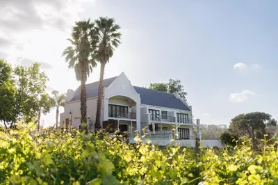 a white house with palm trees in the foreground at Banhoek Lodge in Stellenbosch
