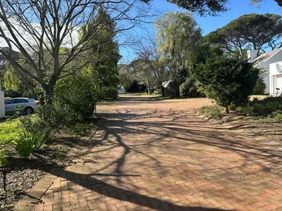 a brick driveway with a tree casting a shadow at Bordeaux 45 in Cape Town