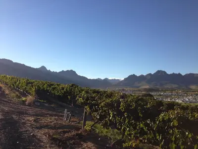 Gallery image of De Zalze Luxury Lodge in Stellenbosch