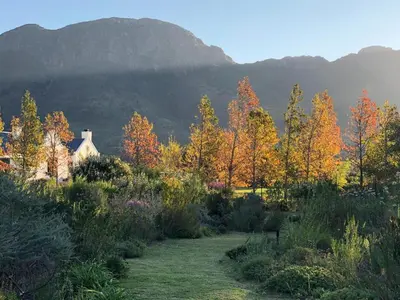 a garden with trees and a house in the background at Chambray Estate - The Terraces in the Vines in Franschhoek