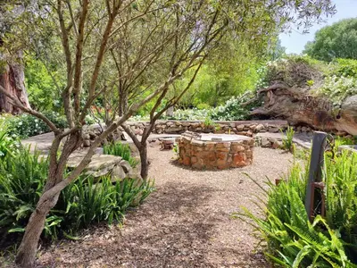 a garden with a bench and a tree at Blissful Country Garden King Bed Cottage in Grabouw