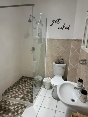 a bathroom with a shower and a toilet and a sink at The Silhouette - Paarl - Self Catering Apartment in Paarl