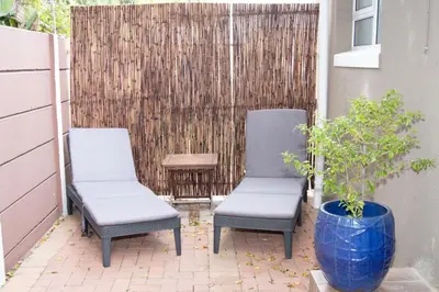 two chairs and a potted plant on a patio at Panthera Cottage Milnerton in Cape Town