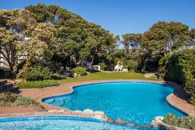 a swimming pool in a yard with trees at 42 Whale Rock Estate in Hermanus