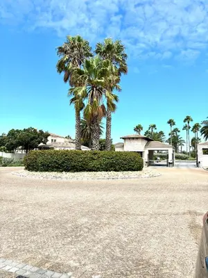 a palm tree in the middle of a parking lot at Cozy&warm apartment in Century city in Cape Town