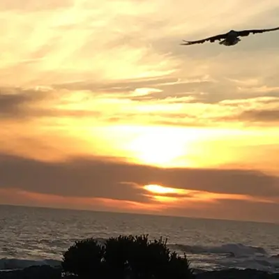 an airplane flying over the ocean at sunset at Oceans Edge - Hermanus Beach Club in Hermanus