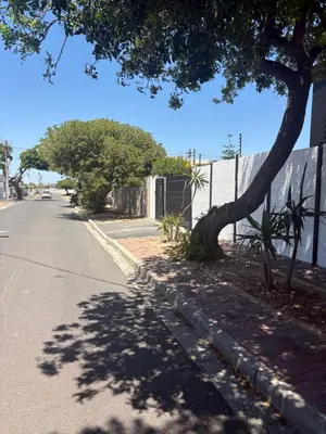 a tree on the side of a street next to a fence at Serenity Hideaway in Cape Town