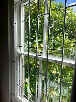 an open window with a view of a plant at Akker in Stellenbosch