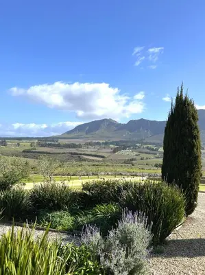 a garden with plants and a view of the mountains at Moya's Vineyard in Mosselrivier