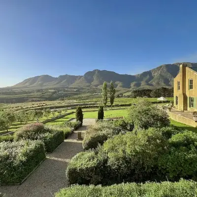 Moya's Vineyard