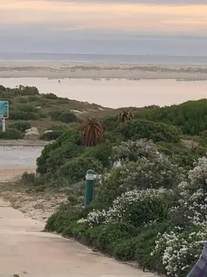 a view of a beach with flowers and water at Flock-Inn in Fisherhaven