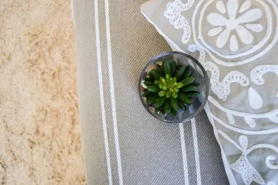 a small green plant in a bowl on a table at Olive Grove on Provident in Cape Town