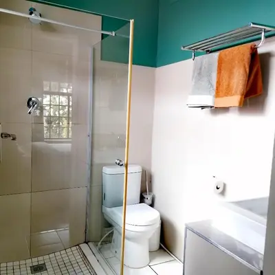 a bathroom with a toilet and a shower at Aloha Lodge in Cape Town