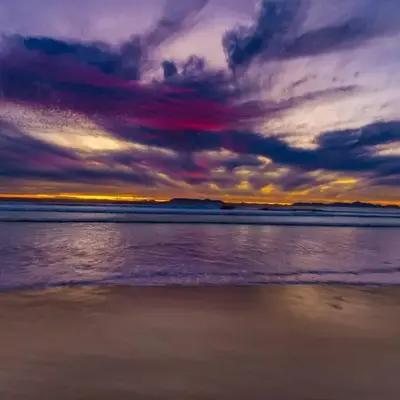 Elegance on Beach