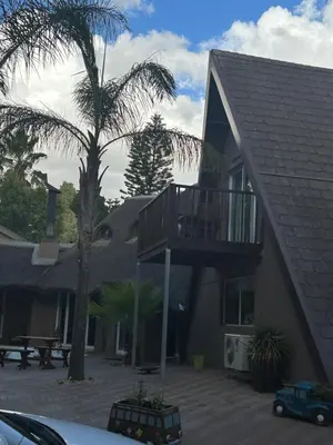 a balcony on the side of a house with a palm tree at STAY In TEHAMA in Cape Town