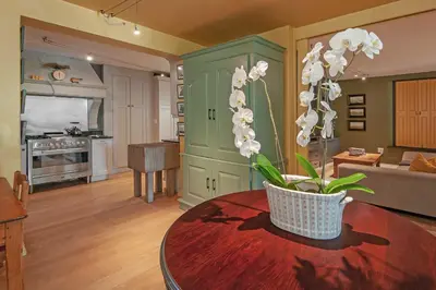 a living room with a table with a plant on it at Franschhoek villa in Franschhoek