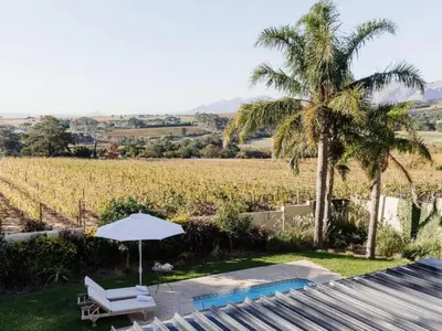 a villa with a palm tree and a swimming pool at Yonder Hill Accommodation in Raithby