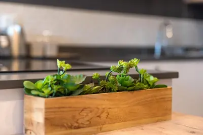 a wooden box with plants in it on a kitchen counter at 309 on Titanium in Cape Town