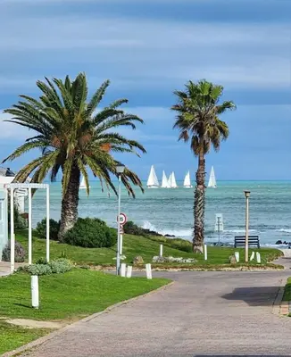 two palm trees and the ocean with sail boats at Lente Beach Cottage, Fleur Park, Gordon's Bay in Gordonʼs Bay