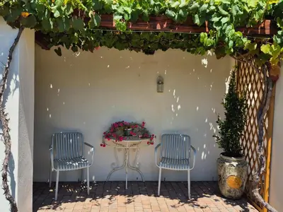 two chairs and a table with flowers on a patio at Schoongezicht Guesthouse in Durbanville