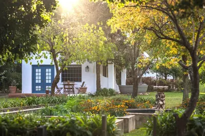 a garden in front of a white house with trees at Cape Weaver cottage in Greyton