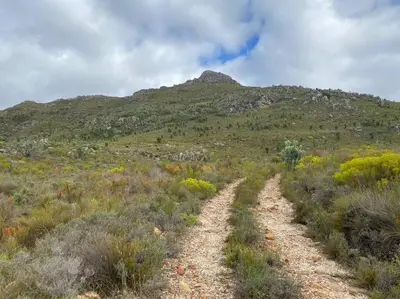 a dirt road through a field with a mountain at Underhill Cottage in Breerivier